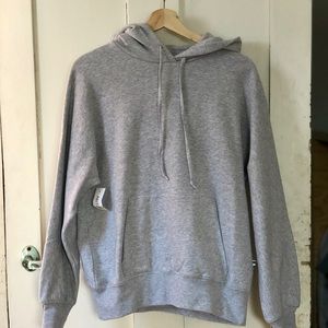 Aritzia Community Oversized Hoodie